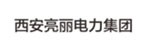 西安亮麗電力集團(tuán)